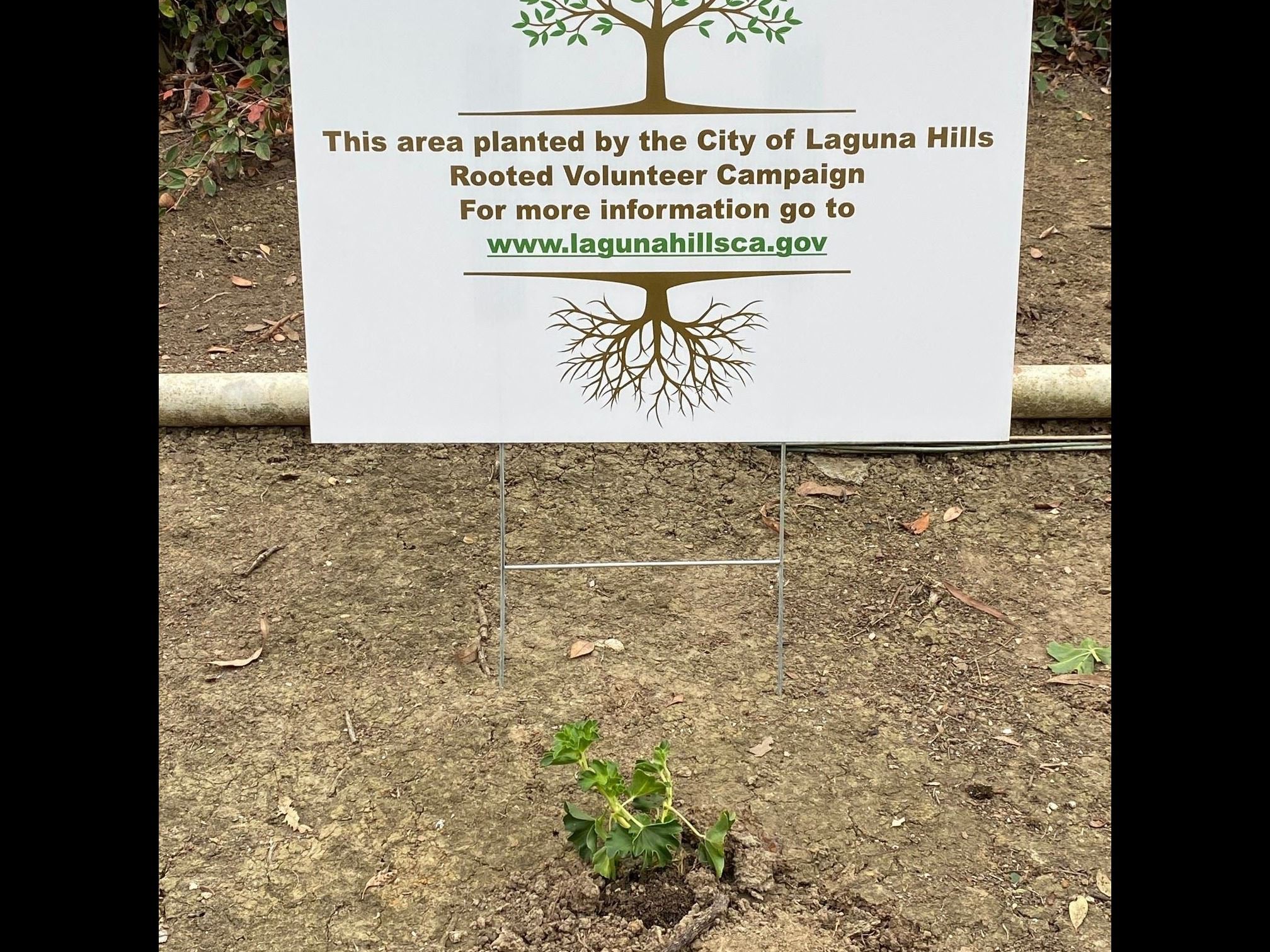 Sign