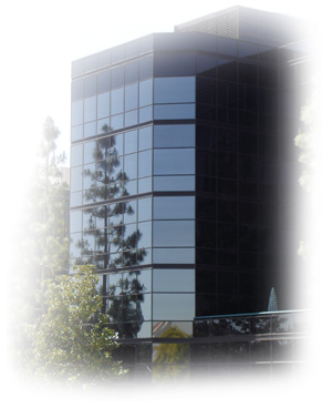 Building with glass windows from top to bottom